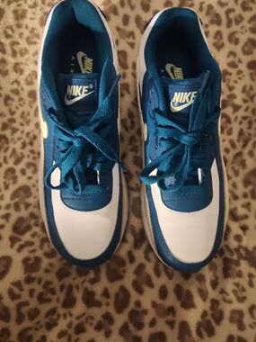 Nike Kids Teal Blue and White Sneakers